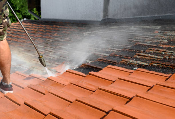 Best Residential Pressure Washing Services  in Despard, WV