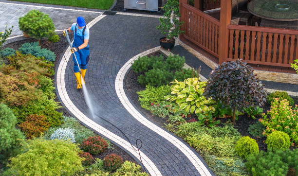 Best House Pressure Washing  in Despard, WV